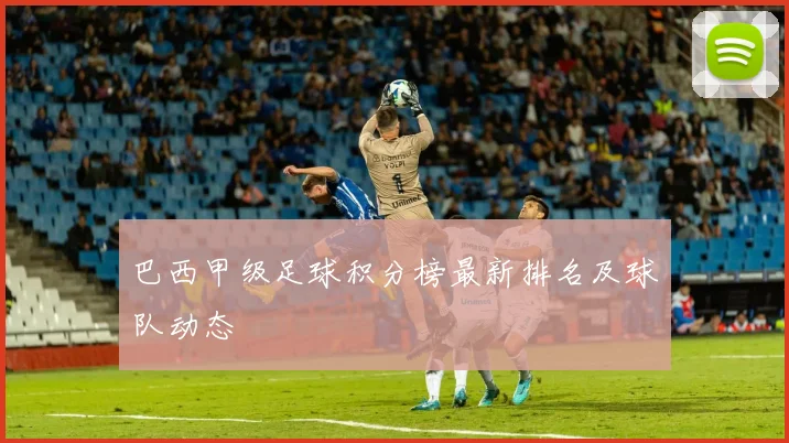 巴西甲级足球积分榜最新排名及球队动态