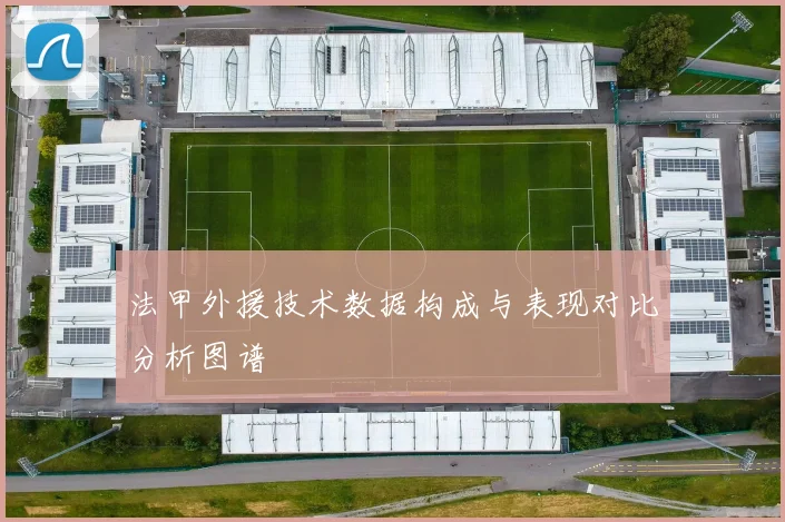 法甲外援技术数据构成与表现对比分析图谱
