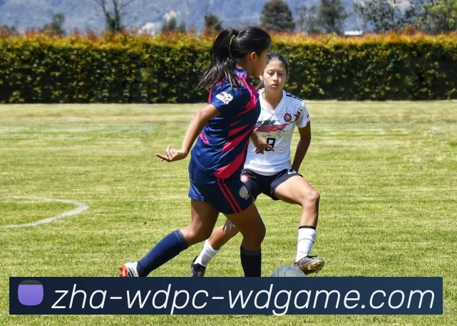 问鼎娱乐平台生态图